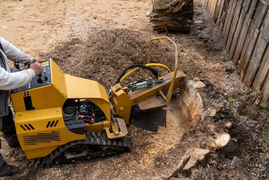 stump grinding