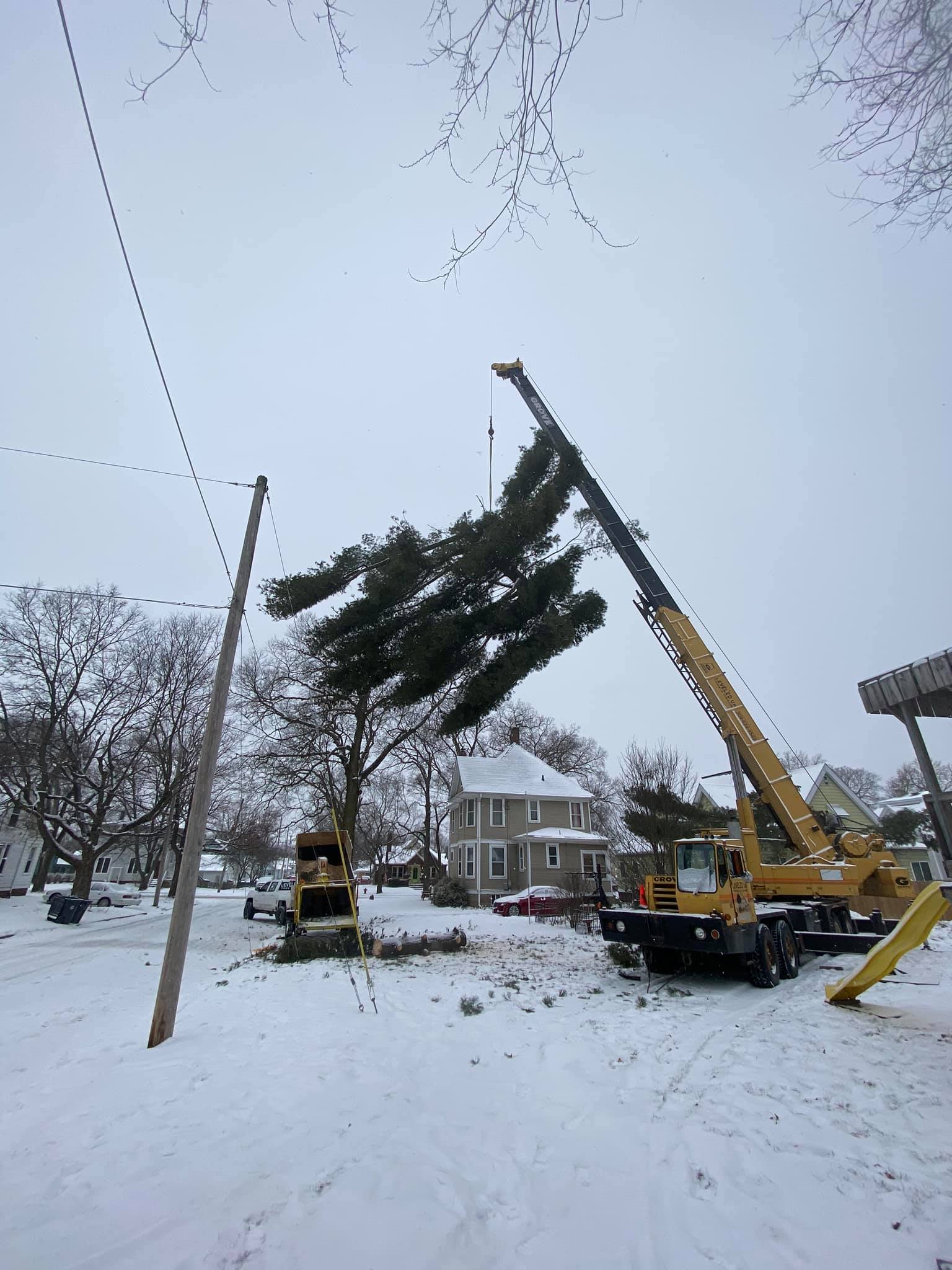 Crane-Assisted Tree Removal After Ice Storms: When Illinois Homeowners Need Heavy Equipment in 2026