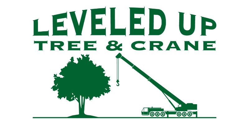 Meet Leveled Up Tree & Crane: Your Local Tree Company in Central Illinois