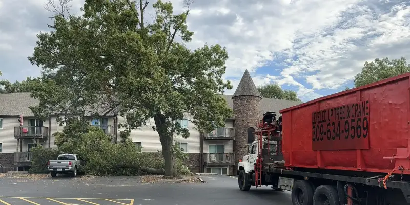 Here’s Why You Should Never DIY Tree Removal
