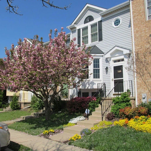 Tree Removal for a New Homeowner in Central Illinois, Case Study