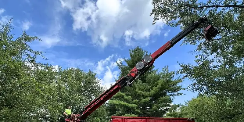 Can I Get Free Tree Removal Estimates?