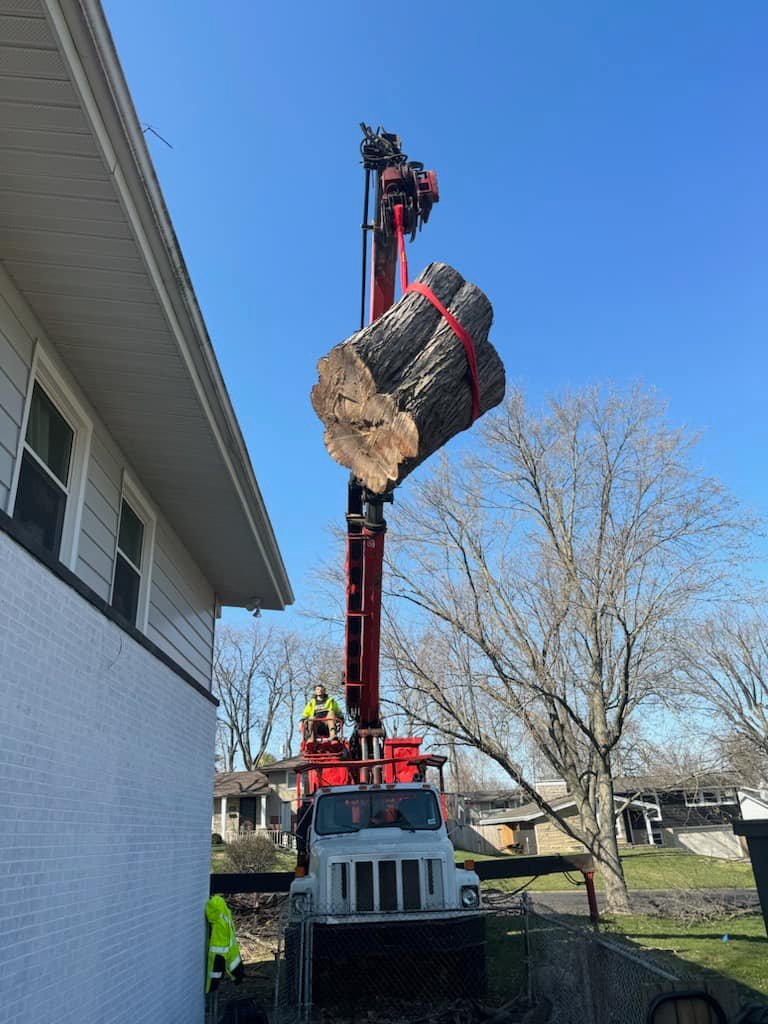 How to Spot a Dangerous Tree Before Spring Storm Season