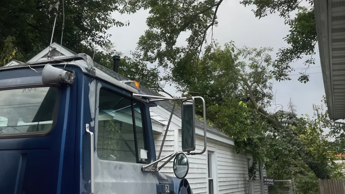 Leveled Up Tree and Crane assessing a dangerous tree before storm season in Central Illinois