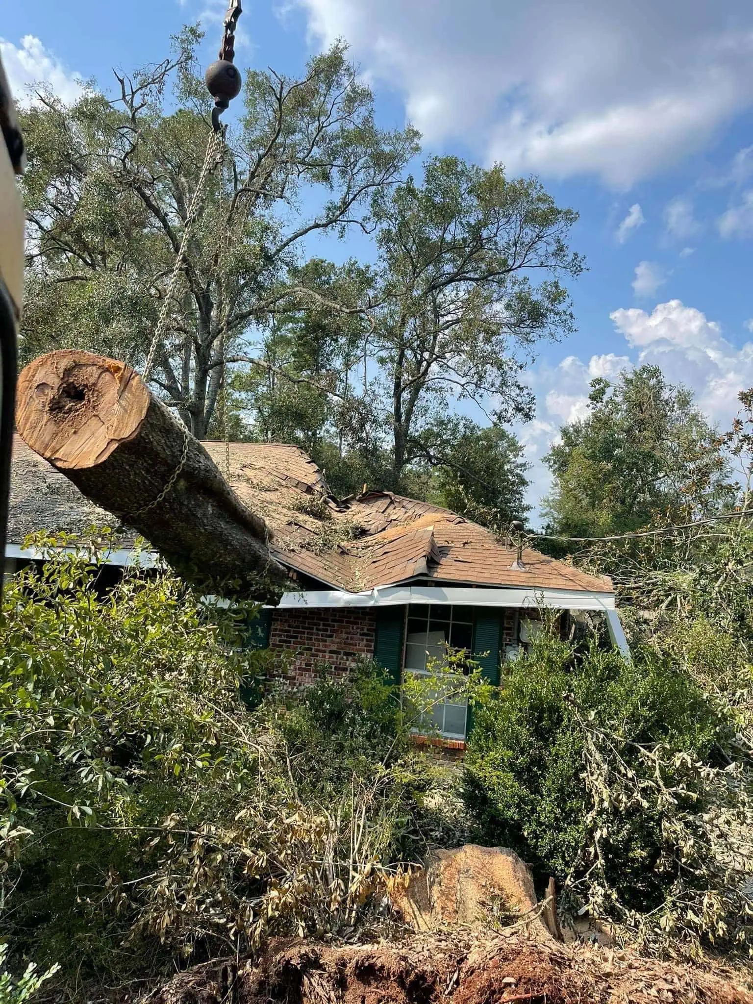Tree Removal Chillicothe IL | Fast Work with Excellent Cleanup