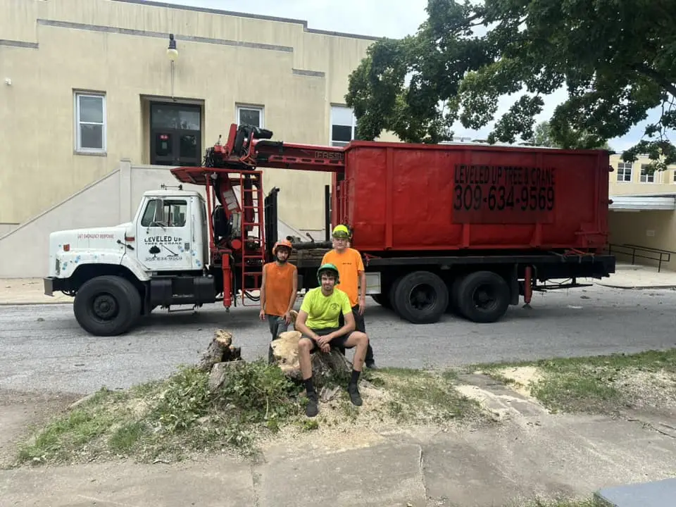 Tree Removal Safety Impressed Client in Central Illinois, Leveled Up Tree & Crane Case Study