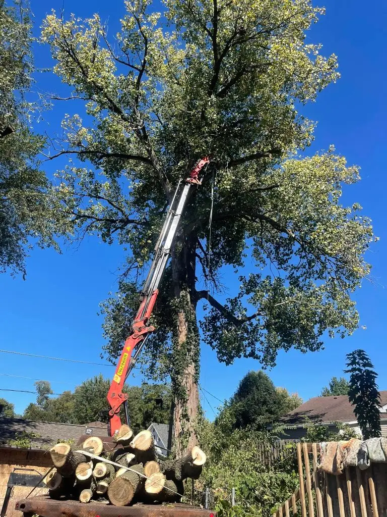 Leveled Up Tree & Crane - crane equipment - About us page