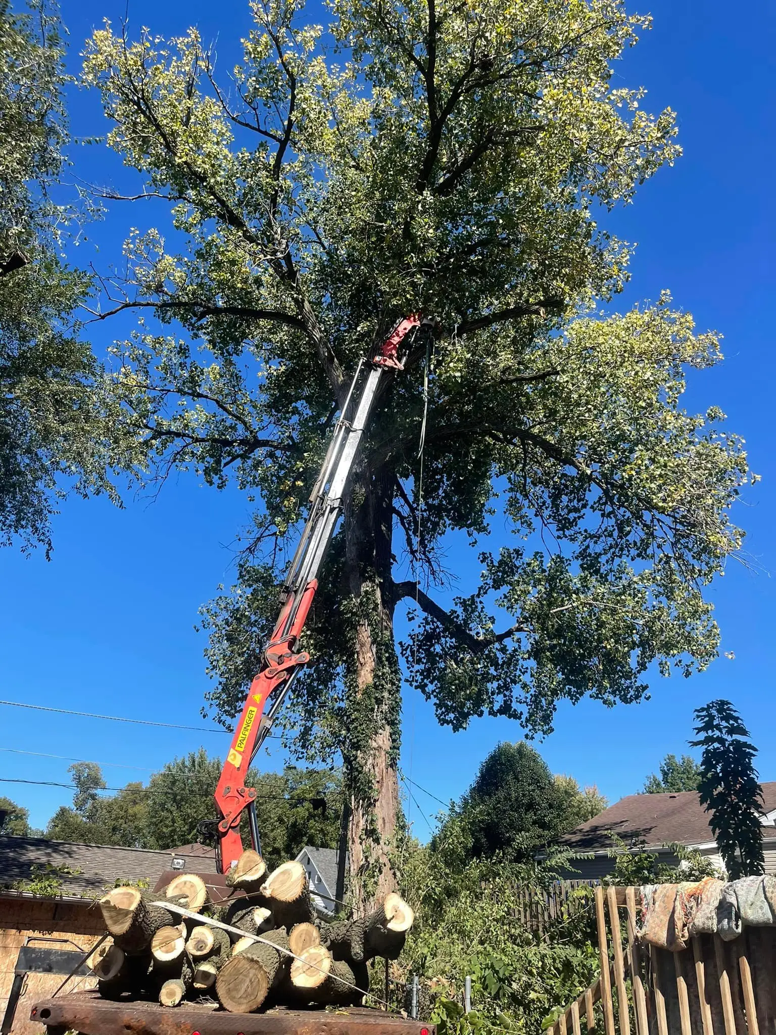 Leveled Up Tree & Crane - crane equipment - About us page