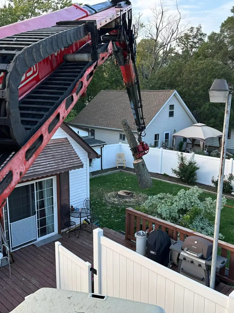 Leveled Up Tree & Crane using crane to remove tree trunk