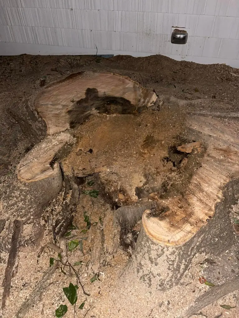 Client Impressed with Stump Removal That Other Companies Refused To Help in Central Illinois, Leveled Up Tree & Crane Case Study