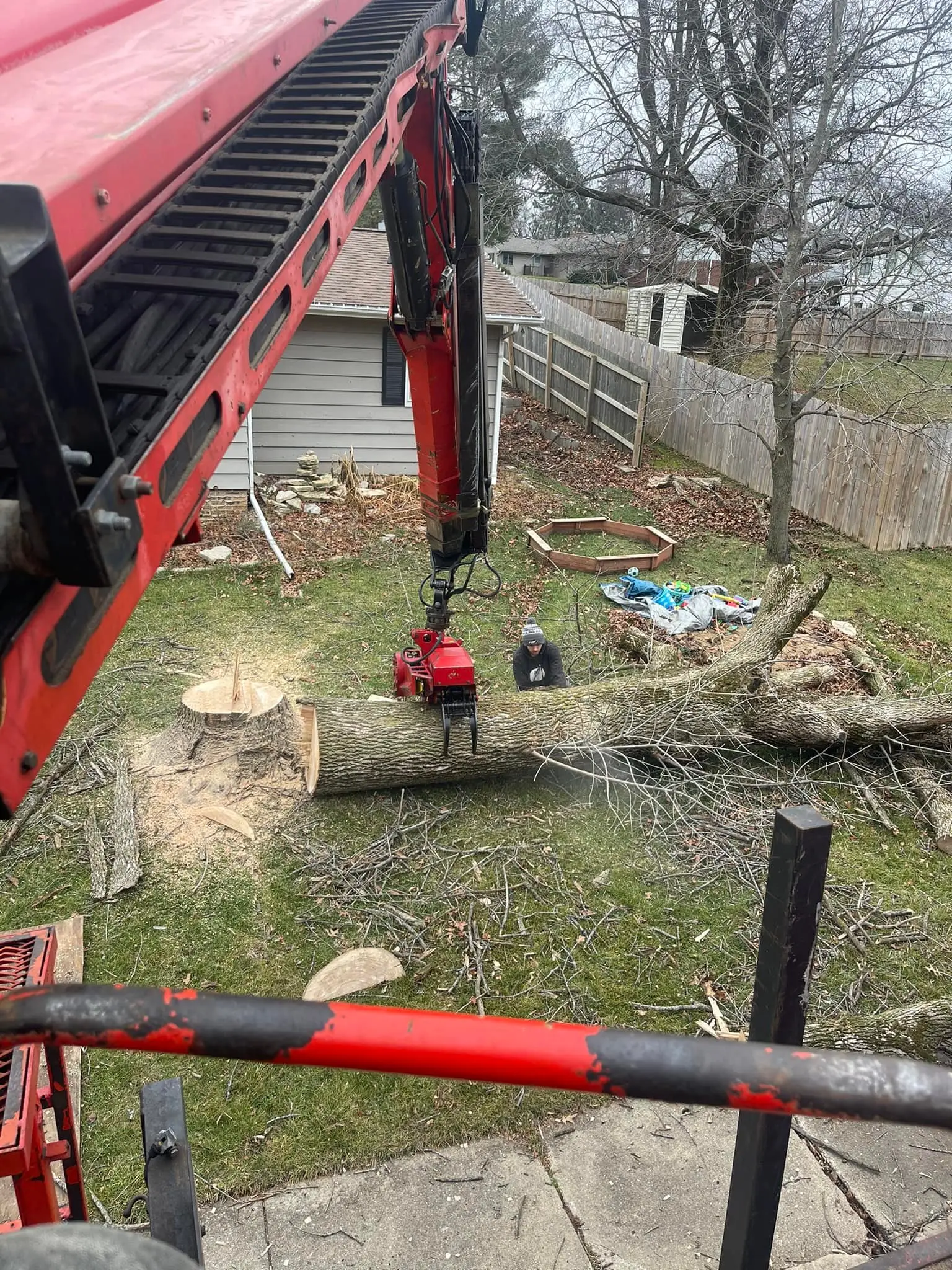 robotic tree removal with grapple saw crane - removing trunk