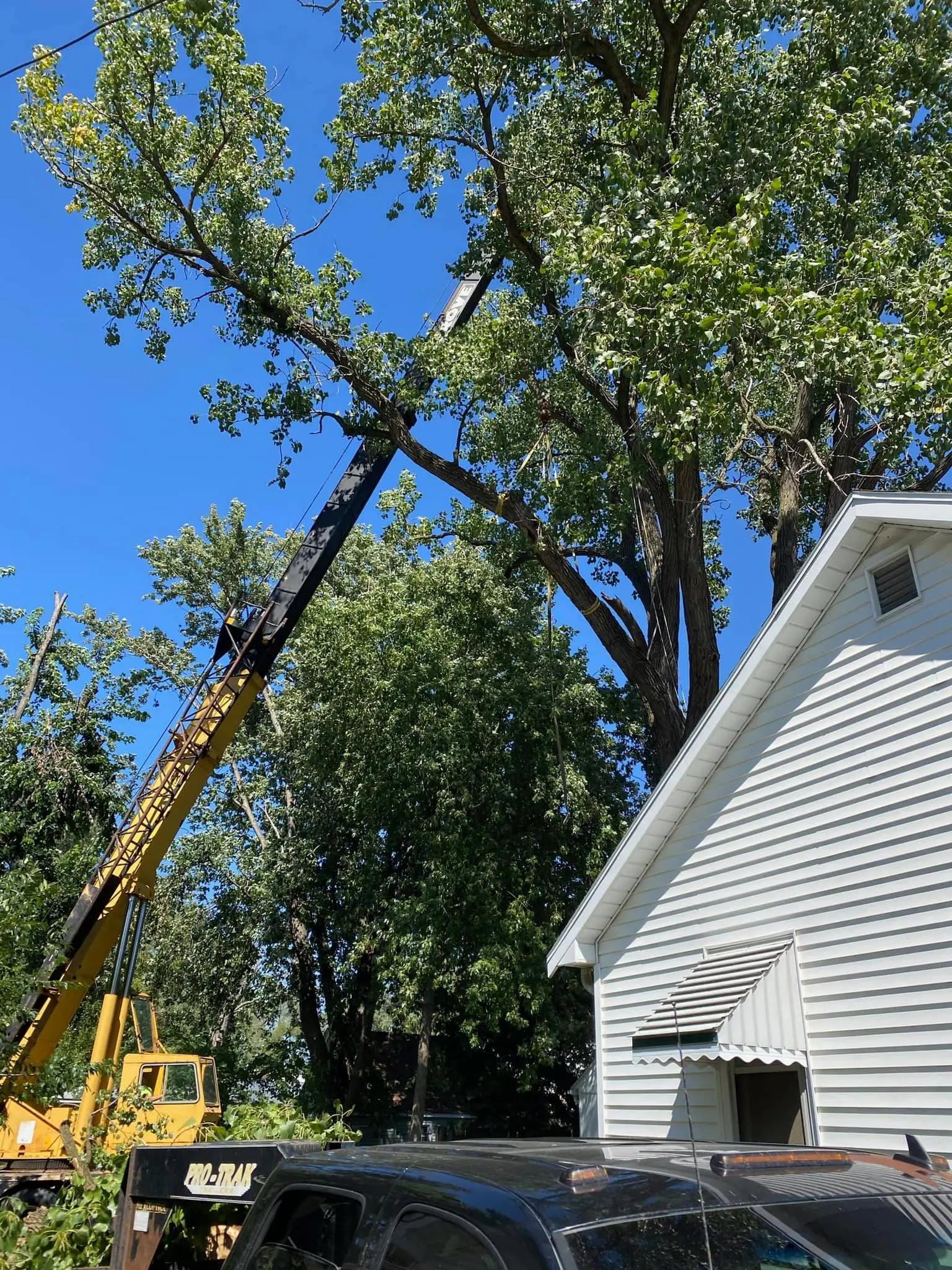 Challenging tree removal completed in pristine condition by Leveled Up Tree & Crane in East Peoria Illinois