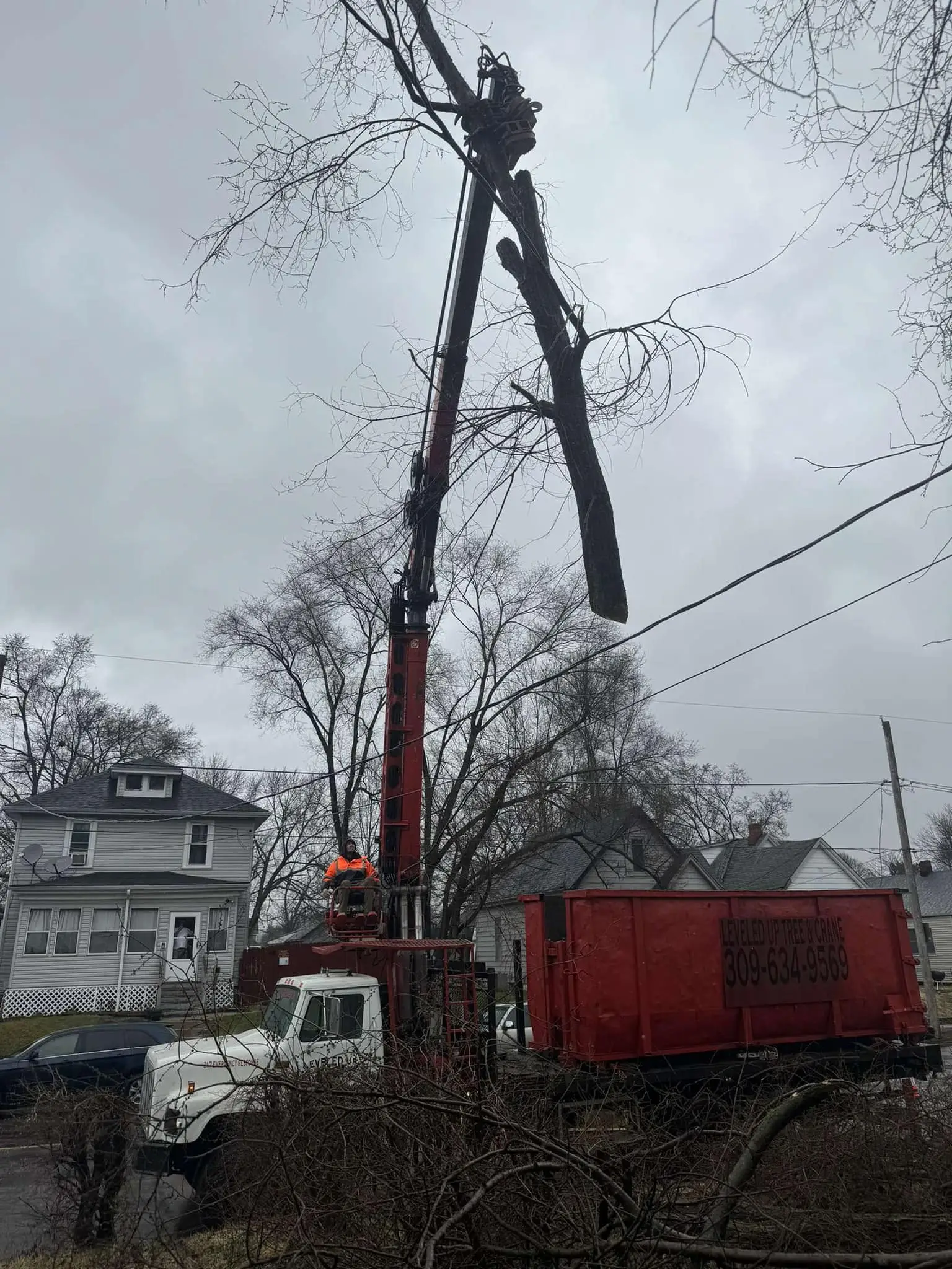 tree removal services with crane