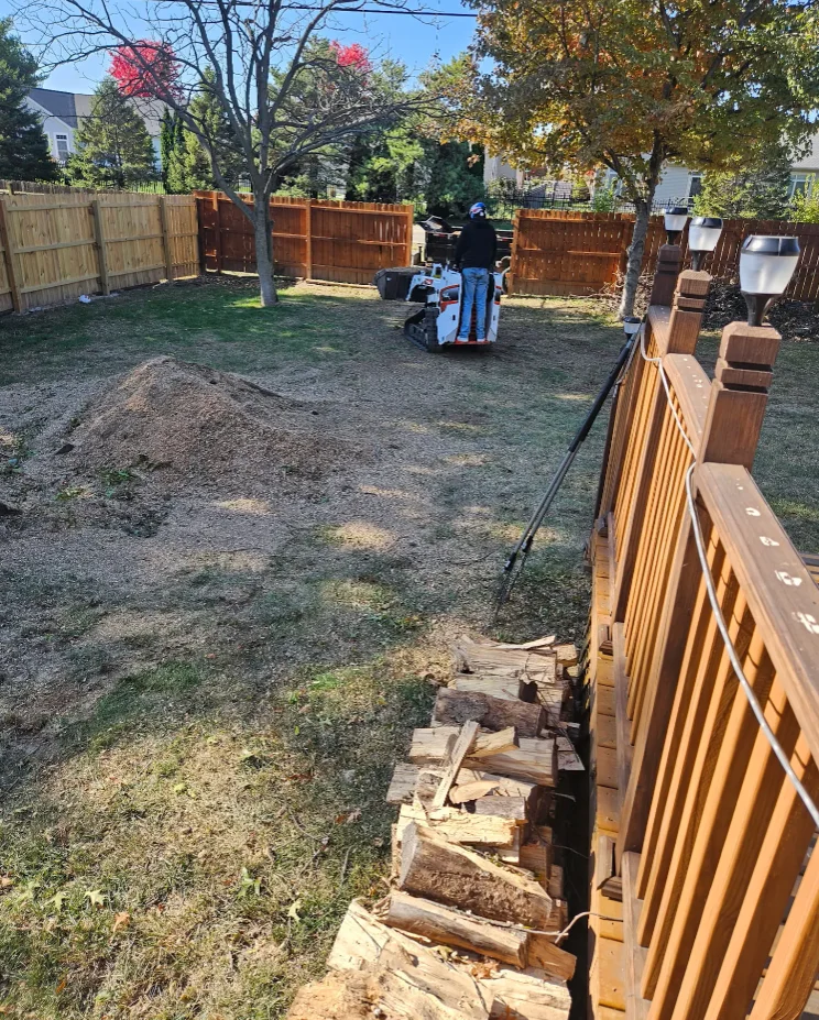 Crane Assisted Northern Red Oak Removal in Central Illinois